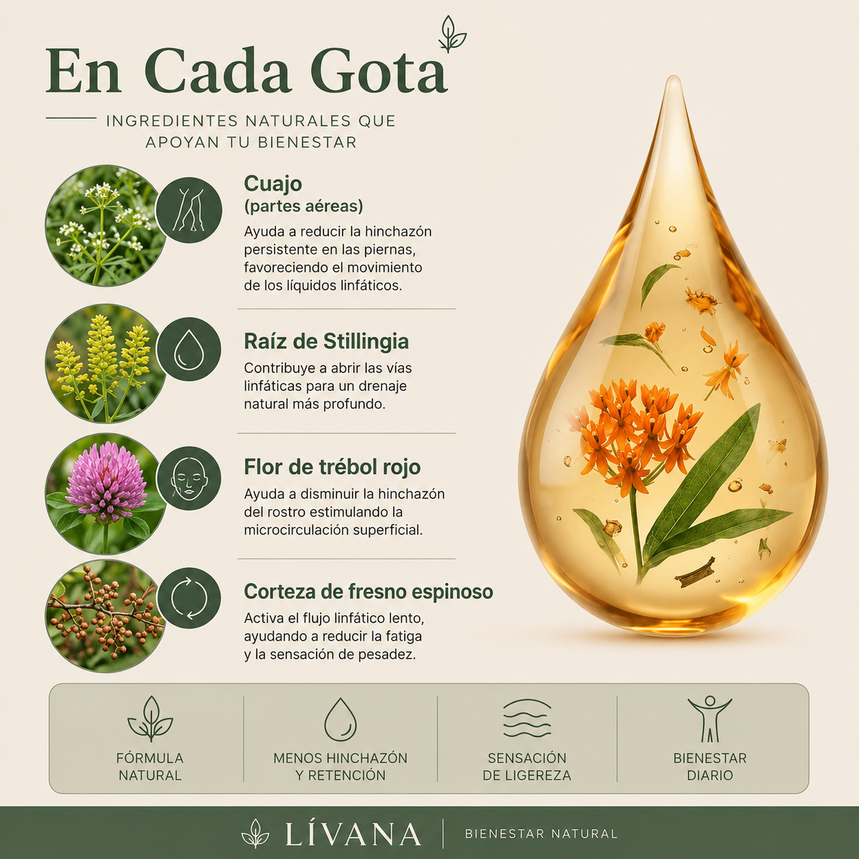 LÍVANA: Drena Naturalmente la Hinchazón del Rostro, Abdomen y Piernas